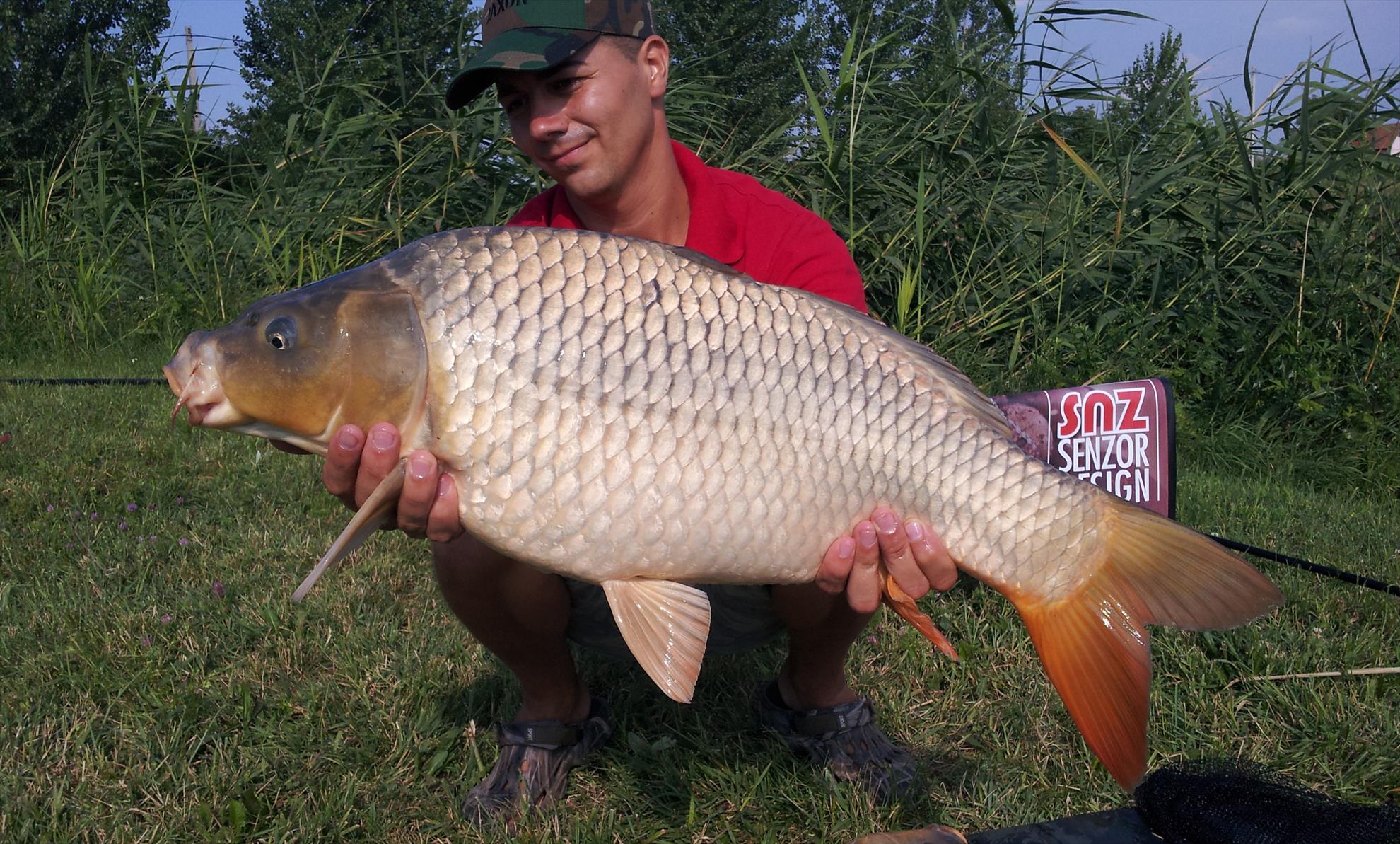 Silver  Ungaria 17 - 18 iul. - 20130717165416.jpg